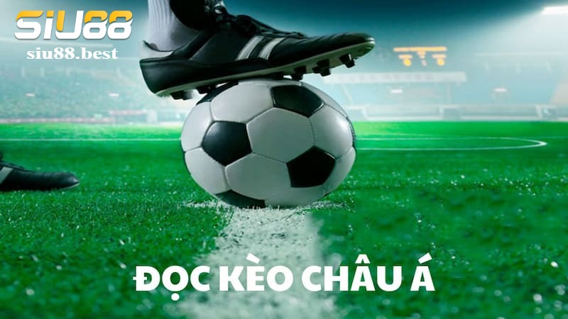 Cách đọc kèo Handoicap chuẩn xác