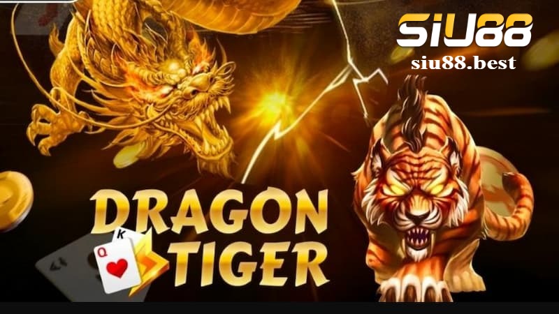 Các quy tắc chơi Rồng Hổ nhà cái SIU88 cơ bản Các quy tắc chơi Rồng Hổ nhà cái SIU88 cơ bản
