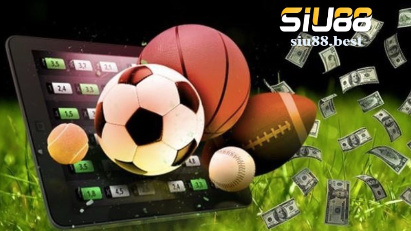 Giới thiệu về thể thao Siu88 – Sân chơi cá cược đỉnh cao