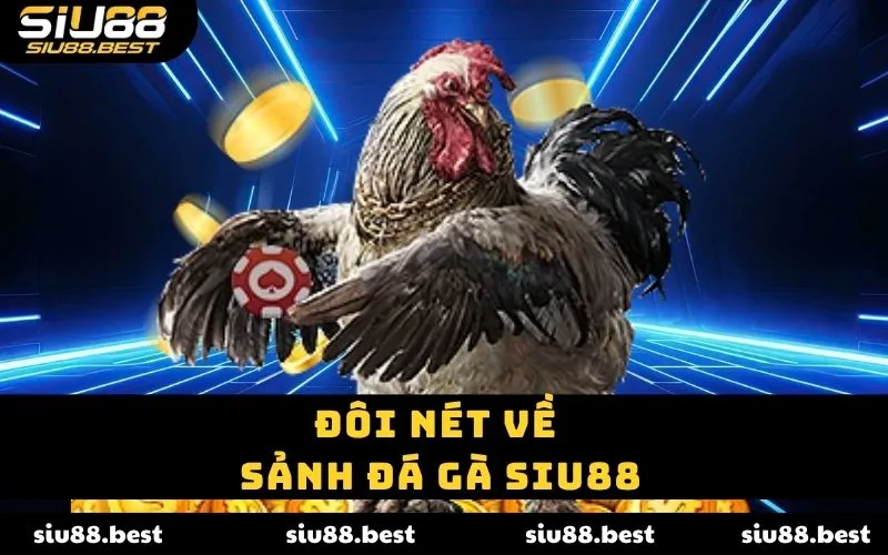 Đôi nét về sảnh đá gà SIU88 Đôi nét về sảnh đá gà SIU88